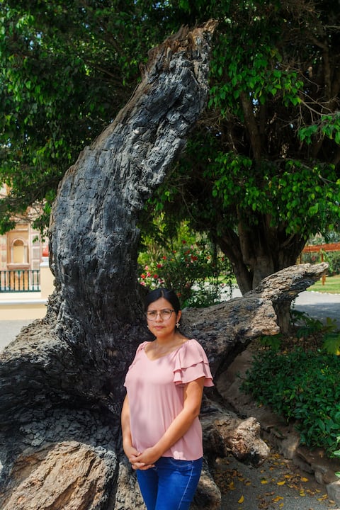 Betsalí Curi, historiadora de la Municipalidad de Surco, junto al memorable pino al que se subió el niño Julio Escobar como vigía durante la Guerra con Chile.