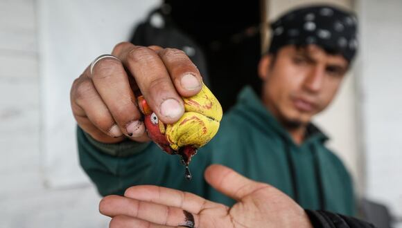 En los últimos 25 años, se han registrado 1002 derrames de hidrocarburos en Perú. Foto: difusión