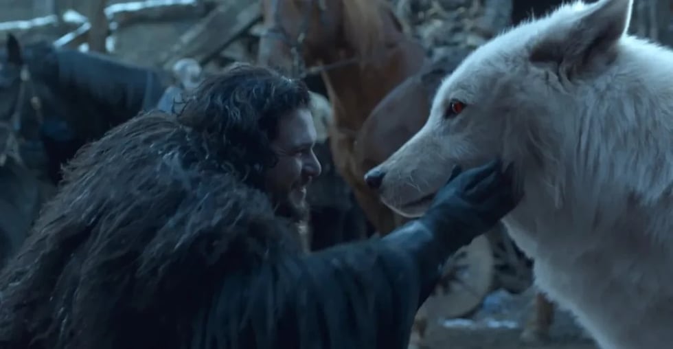 En el mundo de Juego de Tronos, los lobos huargos son bestias enormes y ancestrales, unidas a la familia Stark como perros de apoyo emocional gigantescos. En la vida real (sí, existieron hace unos 12 000 años), eran aún más intimidantes: más grandes que los lobos modernos, con pechos anchos, cráneos gruesos y mandíbulas demoledoras, diseñadas para la carnicería prehistórica.
