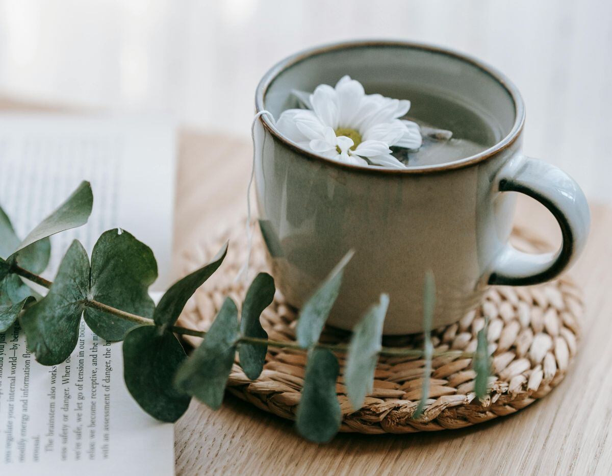 SALUD | La infusión hecha con las hojas de eucalipto inhibe la formación de mucosidad en los bronquios y ayuda a aliviar síntomas de resfriado. (Foto: Teona Swift / Pexels)