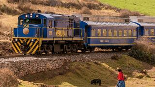 Ahora puedes viajar en tren a Machu Picchu con 30% de descuento
