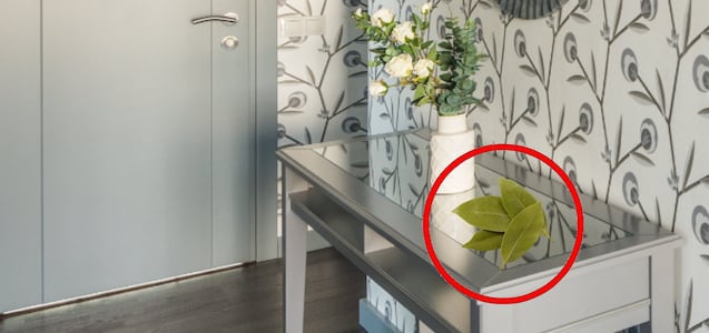 Dónde poner hojas de laurel para atraer la buena suerte en 2024