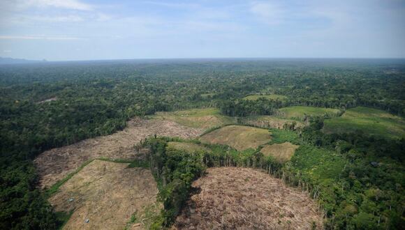 La Amazonía peruana está en riesgo tras aprobación de cambios en la Ley Forestal advierten especialistas. (Foto: Archivo Mongabay Latam)