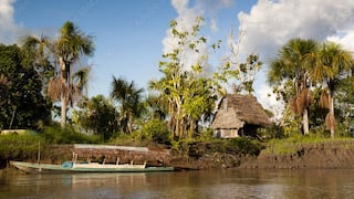 Fiestas Patrias: 8 excursiones que no te puedes perder en Iquitos
