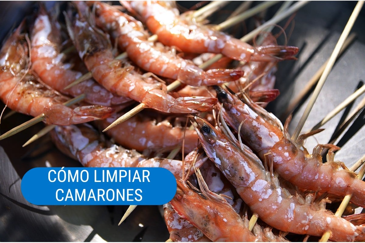Los camarones son muy versátiles y están presentes en distintas recetas. (Foto: Pixabay).