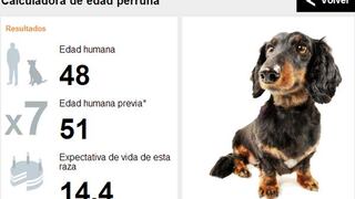 Calcula la edad de tu perro si fuera humano... y la tuya, si fueras perro