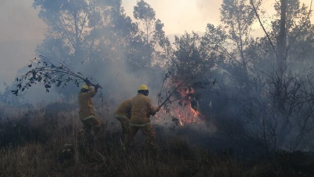 Estiman más incendios forestales a causa de El Niño y cambio climático: ¿estamos preparados?