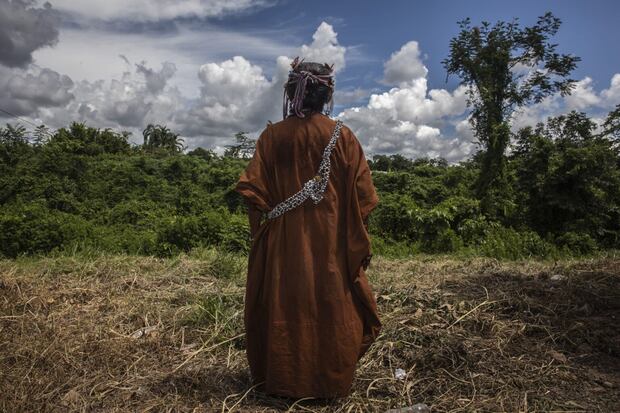 Desde 2020 hasta la fecha, son 19 indígenas asesinados en Ucayali y Huánuco por su defensa al ambiente y a su territorio. Foto: Mongabay Latam