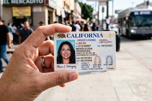 Atención titulares de licencias AB 60 en California: qué datos busca compartir el DMV y qué alternativas tienen los migrantes indocumentados