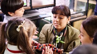 Criaturas increíbles: el refugio en San Isidro donde puedes conocer animales exóticos como serpientes, geckos y tarántulas