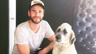 Miley Cyrus ayudó a su ex, Liam Hemsworth, a adoptar un perro