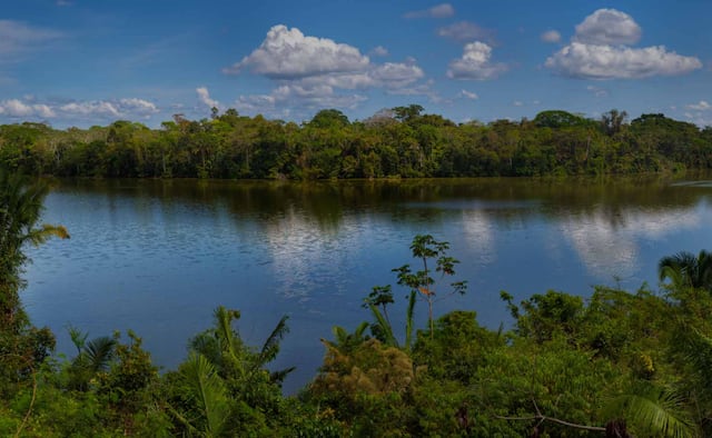 Reserva Nacional Tambopata. Ubicada en el departamento de Madre de Dios, la Reserva Nacional Tambopata es una de las áreas protegidas más grandes del Perú. Es famosa por su diversidad biológica, incluyendo una gran cantidad de aves, mamíferos, reptiles y plantas. Aquí podrás realizar caminatas, paseos en bote por el río Tambopata y observar vida silvestre en su hábitat natural. (Foto: Perú Travel)