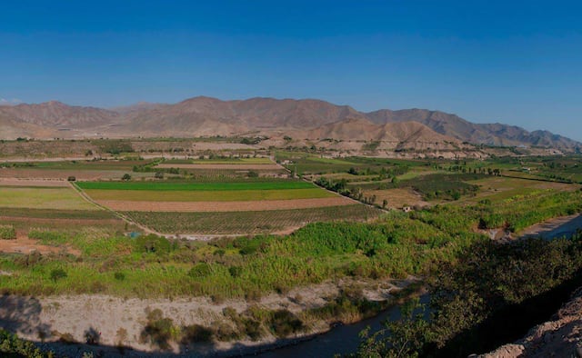 Degustar vinos y piscos. Visita las bodegas locales para probar los deliciosos vinos y piscos producidos en la zona, disfrutando de un recorrido por los viñedos y aprendiendo sobre el proceso de elaboración. (Foto: Turismo Perú)