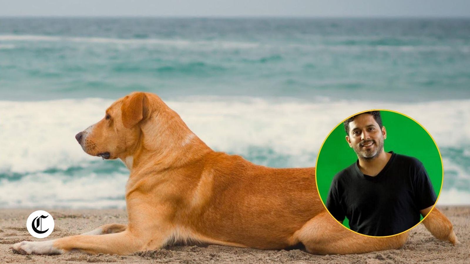 ¿Qué dijo Alex Hidalgo tras la buena recepción del público peruano a la película que dirigió? Foto: Edición EC