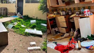 WUF: conoce “Entre Patas”, el albergue canino de Arequipa que fue saqueado el último sábado
