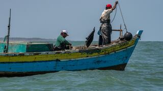 Congreso peruano debate proyectos de ley que, según expertos, ponen en riesgo la biodiversidad del mar y la pesca artesanal