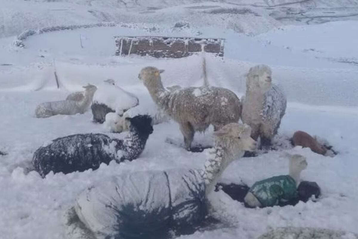 El departamento que presenta la mayor cantidad de jurisdicciones con nivel muy alto es Áncash. (Foto: Andina)