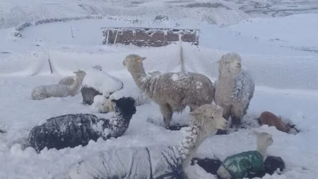 Senamhi advierte lluvia, nieve y granizo en 439 distritos de la sierra peruana
