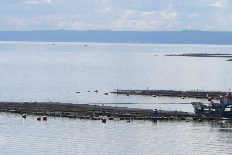 Salmoneras en fiordos patagónicos, Chile. Foto: Vreni Häussermann