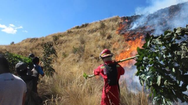 Cusco: continúan trabajos de extinción de incendio forestal en Pomacanchi