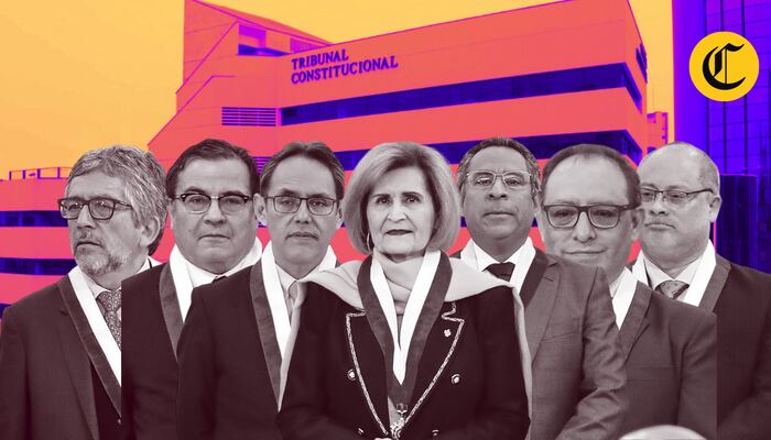 Los 7 integrantes del TC