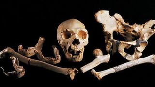 El genoma humano más antiguo fue decodificado en España