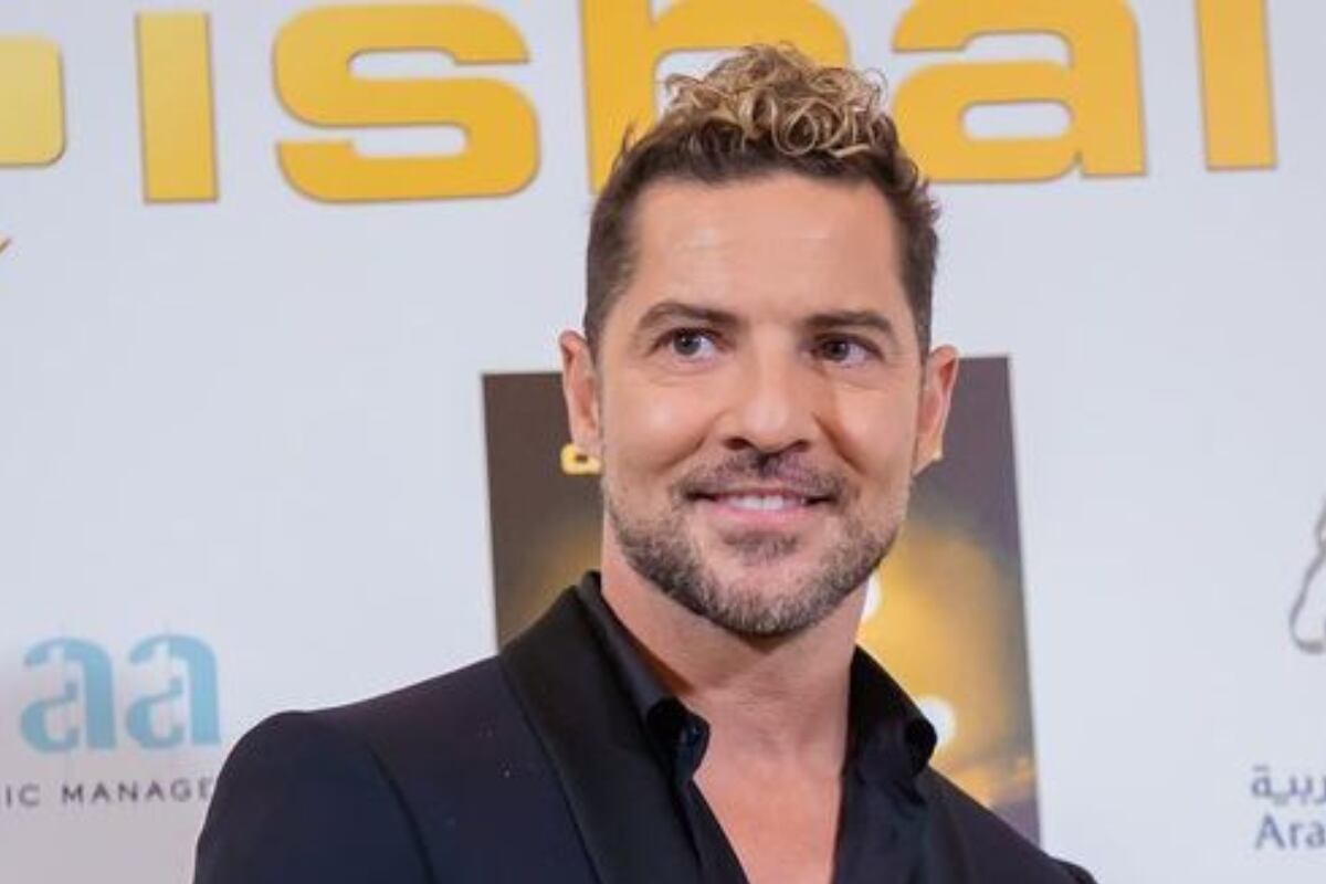 David Bisbal es un cantante español muy famoso en varias partes del mundo (Foto: David Bisbal / Instagram)