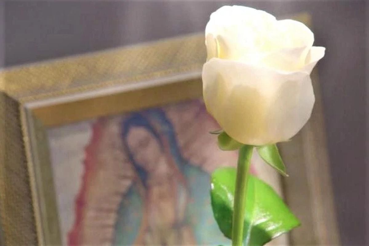 La producción de Miguel Ángel Herros se estrenó en febrero de 2008 y durante estos años se han contado diversos casos de personas comunes que experimentan un milagro verdadero realizado por la Virgen de Guadalupe (Foto: Televisa)