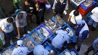 Día de San Pedro y San Pablo: ciudadanos llegan al terminal de Ventanilla y precio del pescado se mantiene