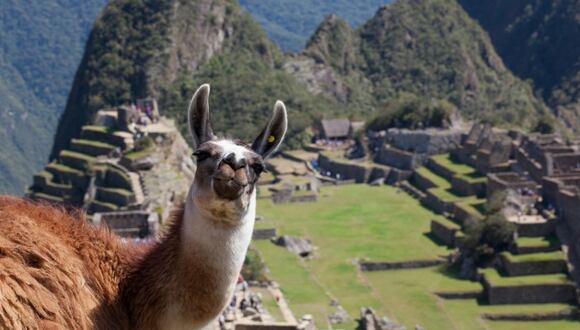 TikTok viral: joven graba video en Machu Picchu y dice que tiene el apellido más peruano; ¿por qué razón? | En esta nota te contaremos lo que debes conocer en torno a este clip que cada vez viene siendo un éxito en la popular red social.  (Foto: Ubuy Perú).
