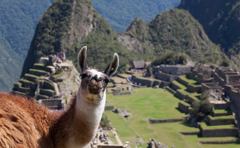 TikTok viral: joven graba video en Machu Picchu y dice que tiene el apellido más peruano; ¿por qué razón? | En esta nota te contaremos lo que debes conocer en torno a este clip que cada vez viene siendo un éxito en la popular red social. (Foto: Ubuy Perú).