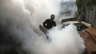 Nicaragua prepara campañas contra dengue y la leptospirosis