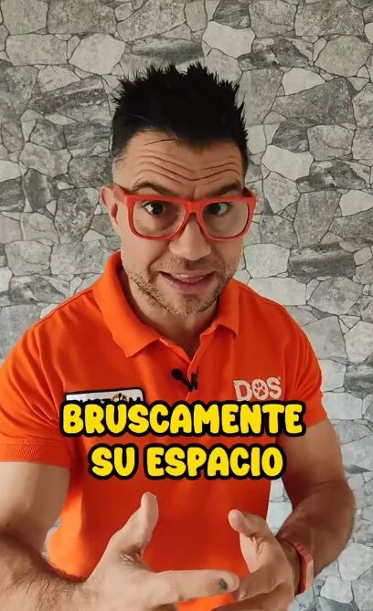 Carlos Carrasco, experto en entrenamiento canino, explica que los perros tienen un lenguaje corporal muy desarrollado. (Foto: @dos_adiestramiento)