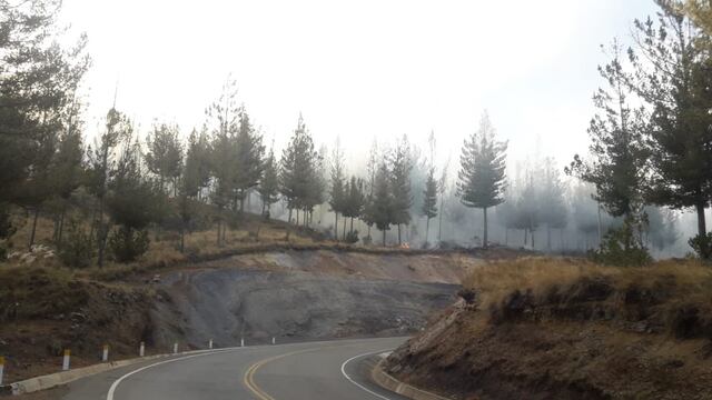 Cajamarca: incendio forestal cerca a Granja Porcón está controlado en un 90%