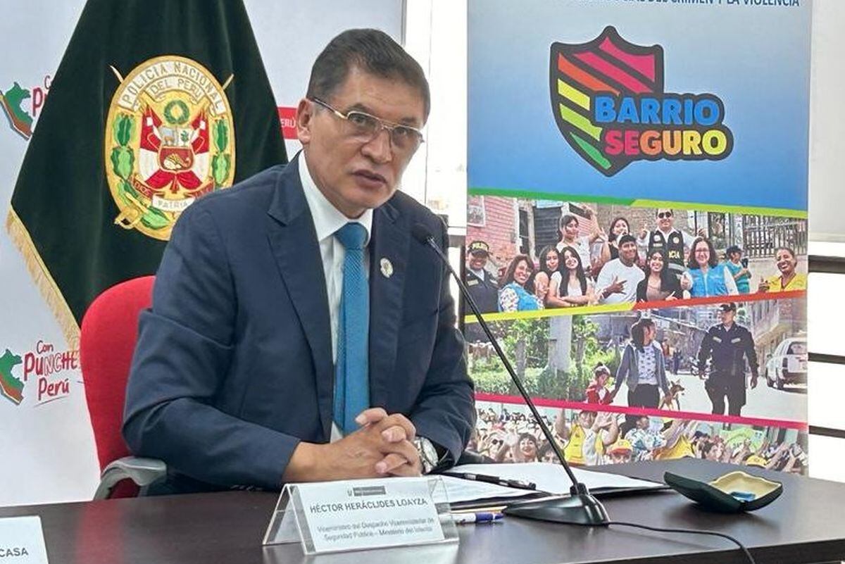 Héctor Loayza renuncia al viceministerio de Seguridad Pública del Ministerio del Interior. (Foto: Mininter)