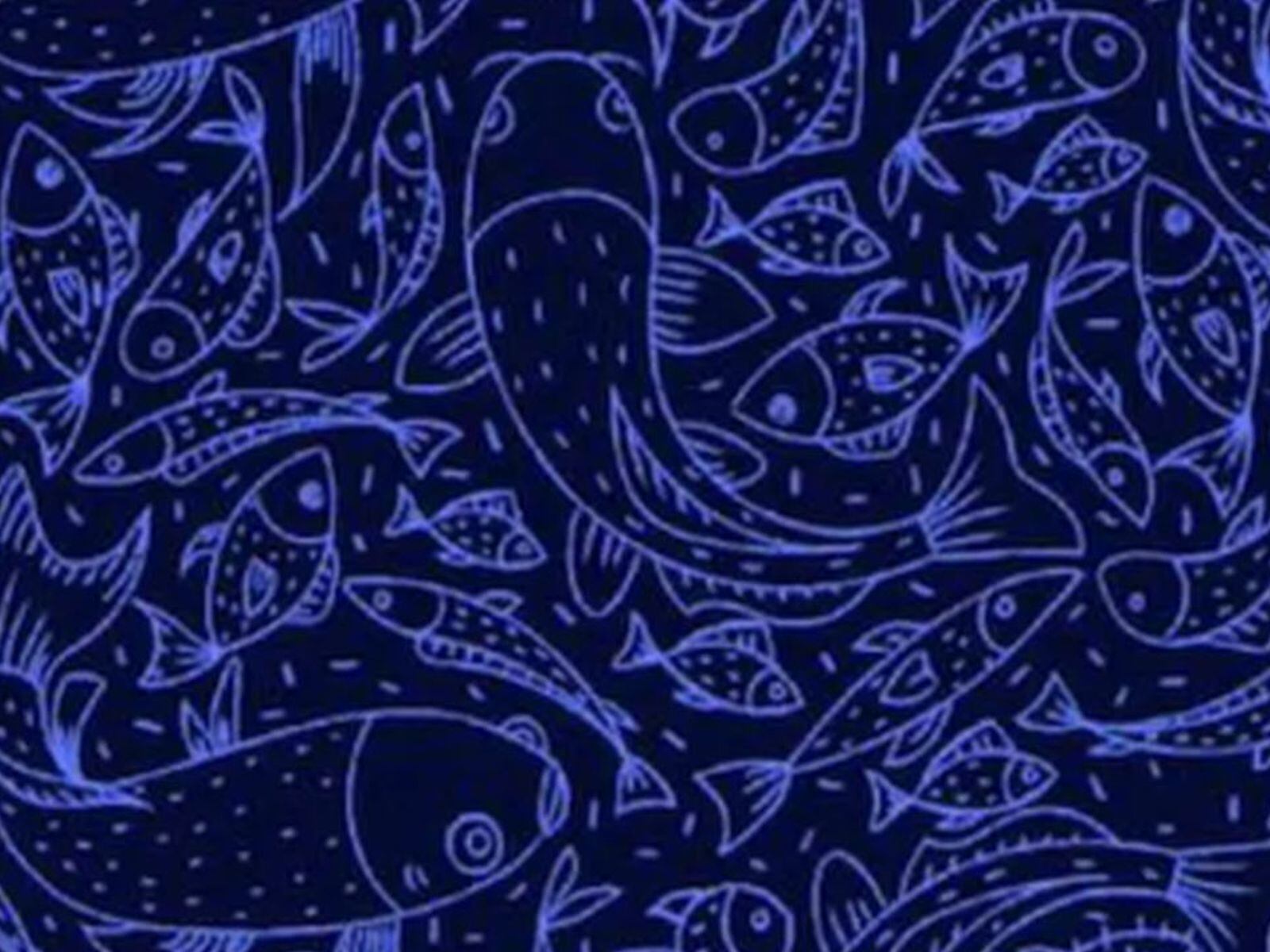 ACERTIJO VISUAL | En esta imagen hay muchos peces. Entre ellos están un pez espada y un pez globo, los cuales tienes que ubicar. (Foto: namastest.net)