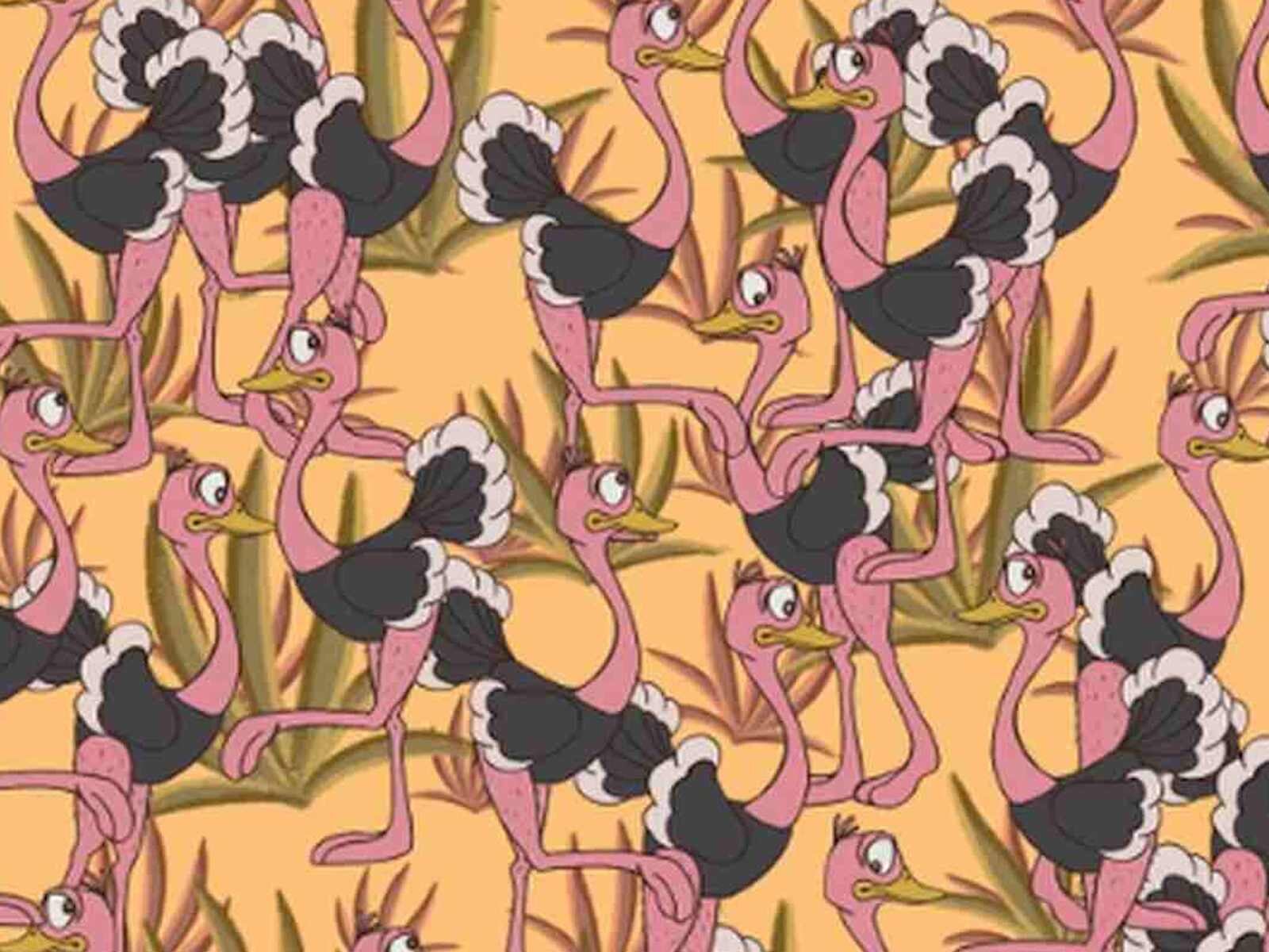 ACERTIJO VISUAL | Esta imagen te permite apreciar muchos avestruces. Tú tienes que ubicar la sombrilla. (Foto: genial.guru)