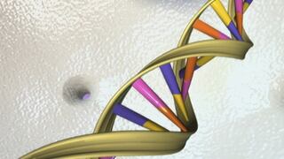 Científicos revelan proyecto para crear genoma humano sintético