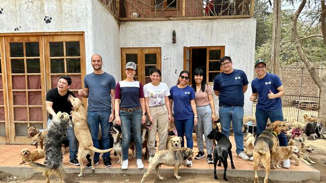 ¡Alianza solidaria! WUF y Samsung se unen para ayudar a perros y gatos en estado de abandono