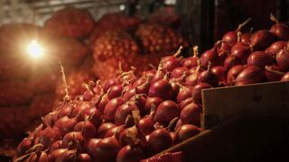 EE.UU.: brote de salmonela en más de 30 estados deja cientos de infectados y se sospecha a la cebolla roja como el origen 