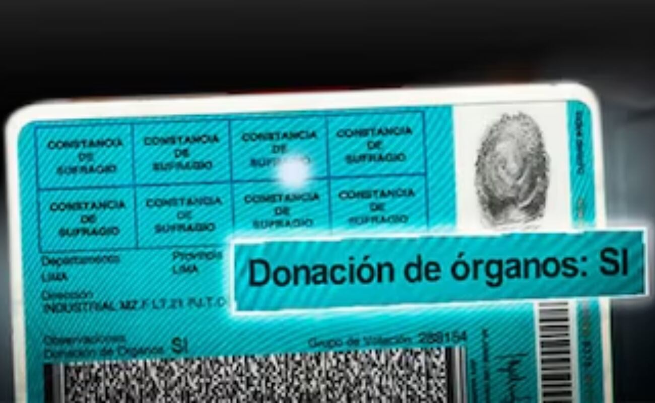 El Documento Nacional de Identidad (DNI) es una de las cédulas más importantes del país, ya que permite realizar diversos trámites e identificarse en aquellos casos en que sea necesario.