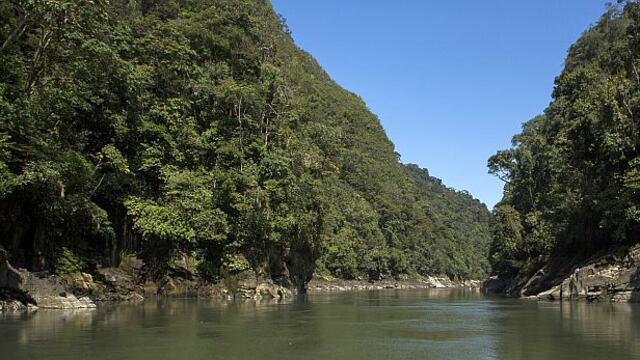 El futuro brillante del mercado de bonos de carbono en el Perú