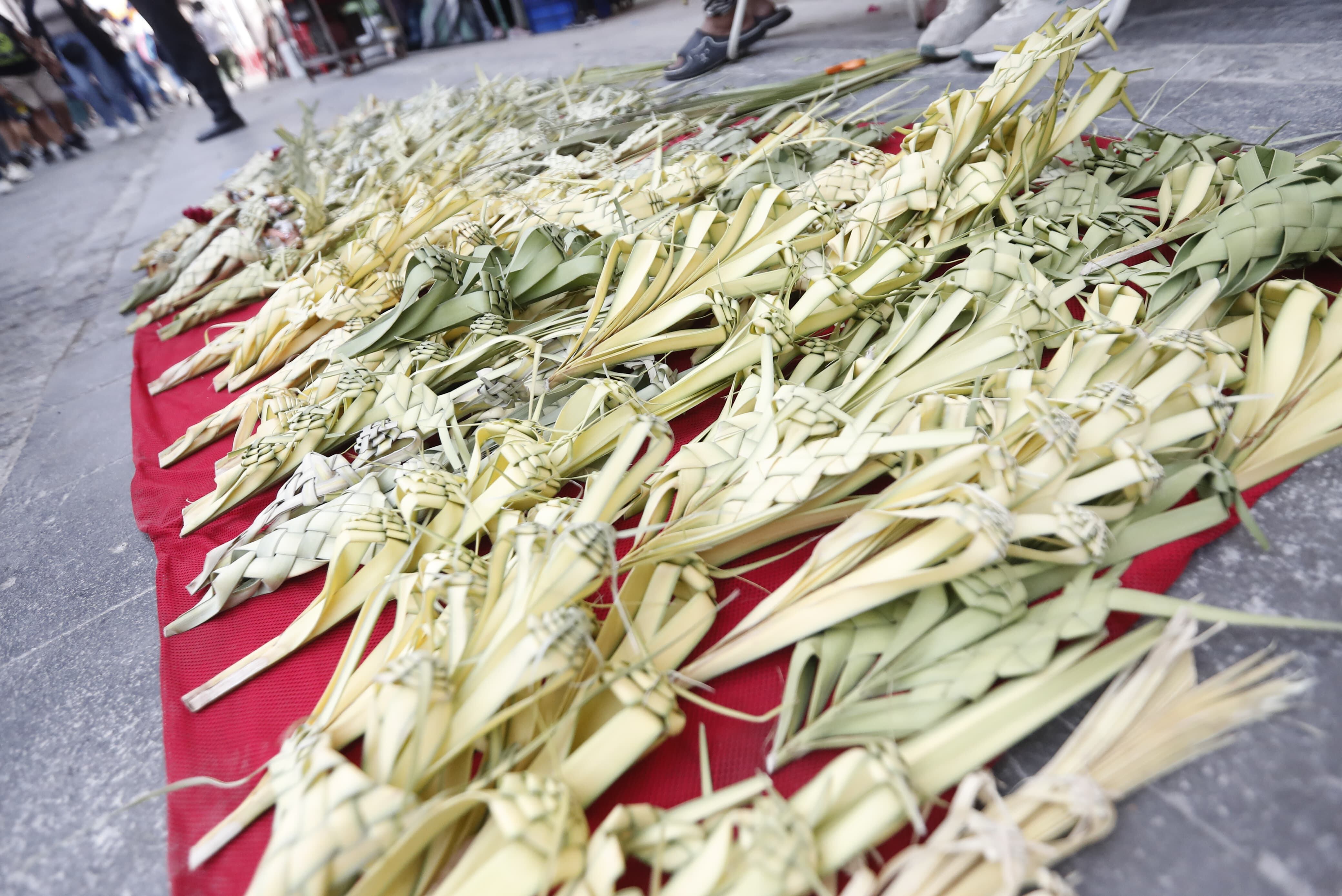 Palmas de todos los tamaños por Semana Santa. Foto: Jesús Saucedo