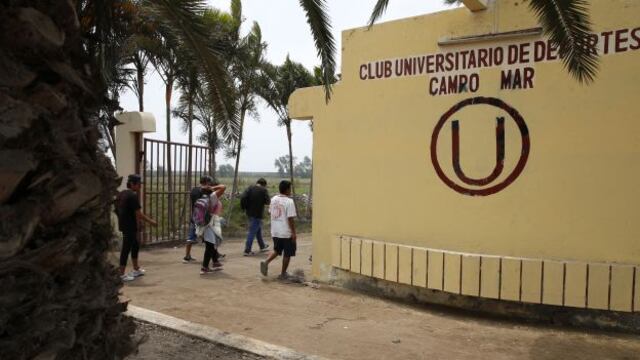 Los planes de la ‘U’ tras luz verde a Campo Mar