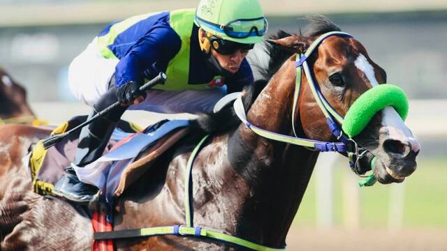 Surco: fallece jinete tras caer de un caballo en plena carrera