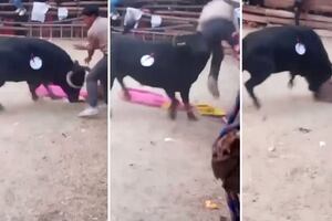 Joven muere tras ser embestido por toro en fiesta patronal en Áncash
