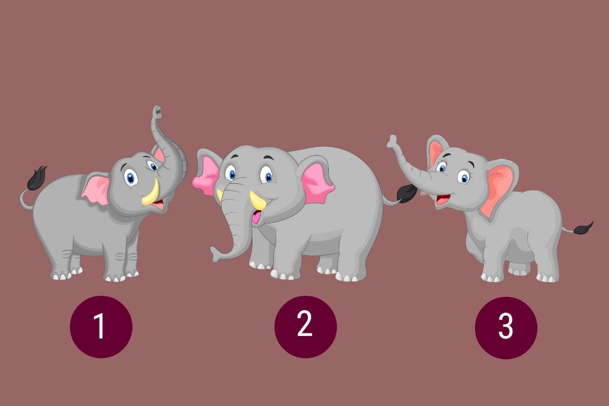 Elige uno de los elefantes en esta imagen para conocer cuáles son tus fortalezas. (Imagen: Mag)