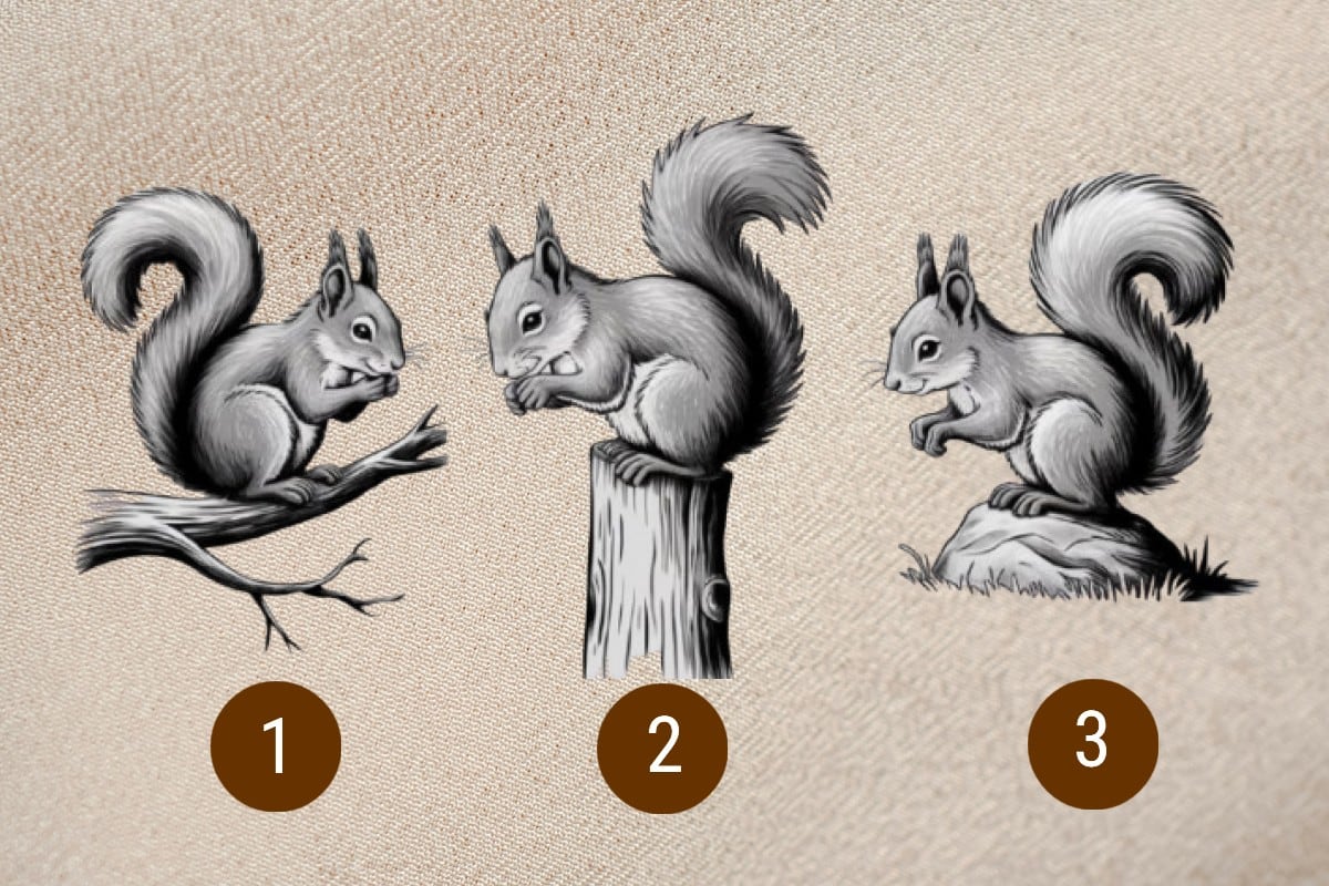 Escoge una de las ardillas en la imagen para conocer si tendrás éxito en la vida. (Imagen: El Comercio/Mag)