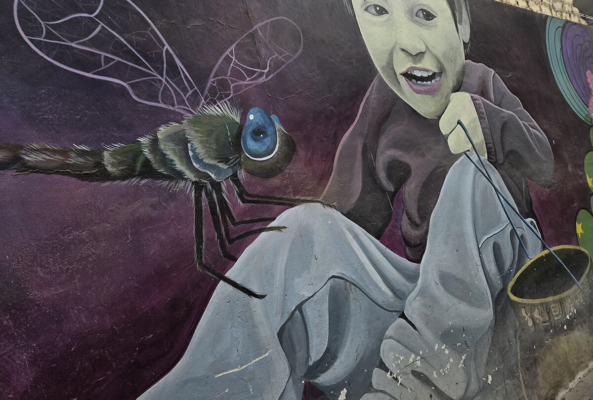 Así toma las fotos el Samsung Galaxy Z Fold 6. (Foto: MAG)