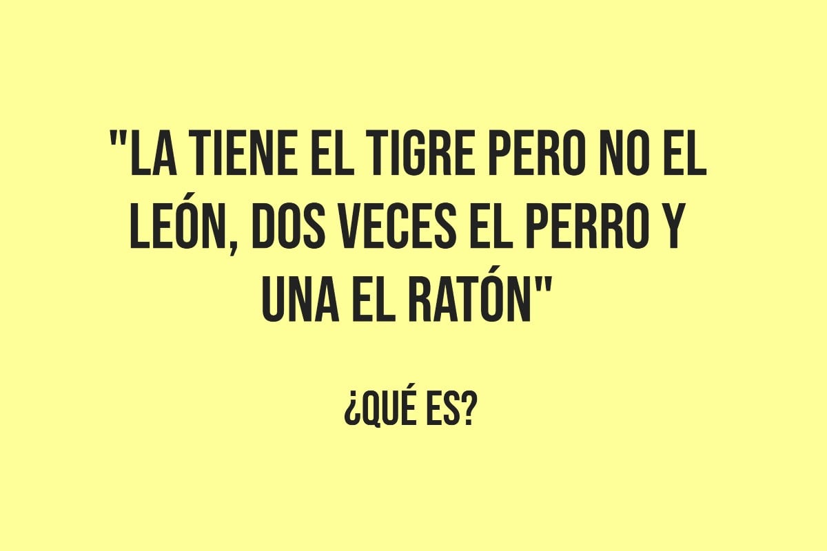Activa todos tus conocimientos y resuelve el acertijo antes de 7 segundos. (Imagen: Mag)